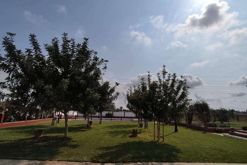 Finca Campo Alegre Villa Utrera Esterno foto